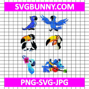 Bird Rio Cartoon Embroidery Design, Carnival SVG, Instant Download